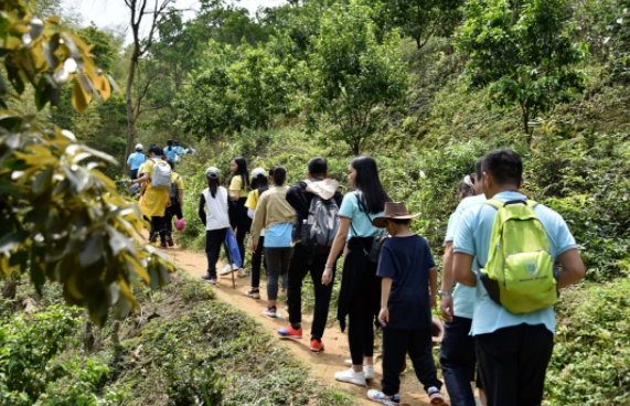 公司組織員工戶外徒步團建活動方案，通過趣味好玩的定向打卡任務鍛煉員工的體魄與耐力！